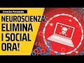 Neuroscienza  i social network ti stanno danneggiando il cervello