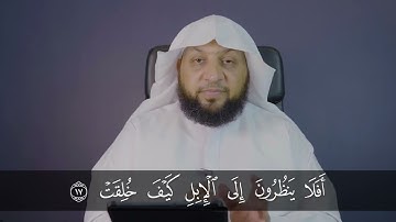 قراءة سورة الغاشية قراءة صحيحة . ياسر سلامة