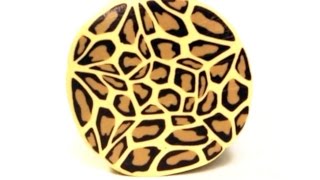 Celebrity Video remake in English: Millefiori cane Leopard Skin polymer clay tutorial Profile