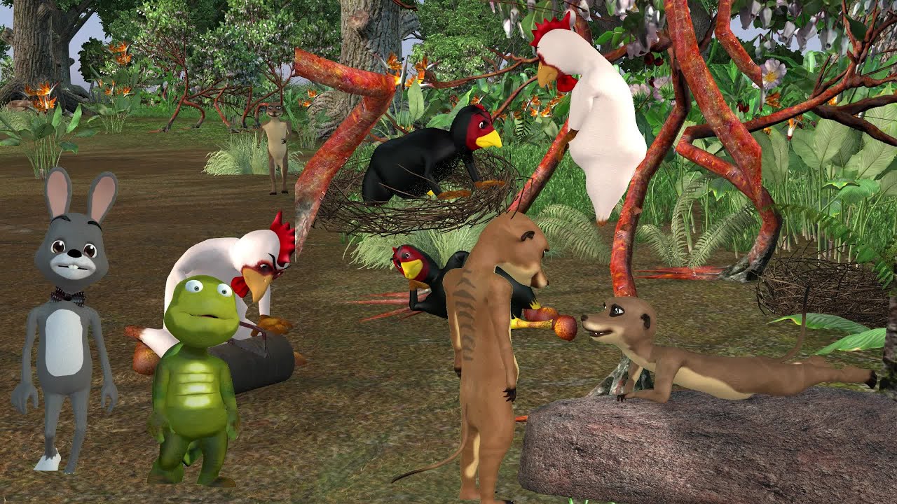 Qaib, luav, vaub kib thiab nas ciav 1. hmoob kab toos 3D.