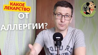 Что дать кошке от аллергии? Кошка чешется