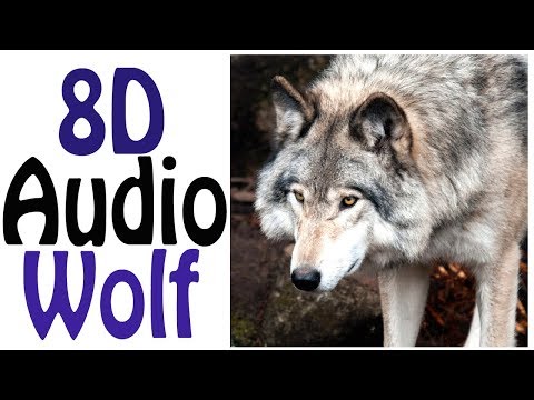 MEDITACIÓN LOBOS Audio 8D 🐺 Meditation with wolves ¡ HEADPHONE !