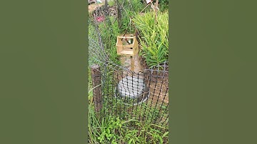 Principle of hydraulic driven bird repellent device