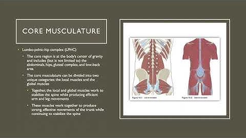 Chapter 16 - Core Training Concepts