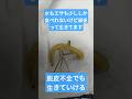 カマキリ 脱皮不全でも生きていける