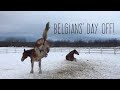 The Belgians’ Day Off / Abby Practicing Running The Drone