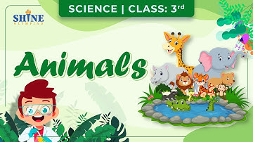 Animals, Types, Eating Habits of Animals | Science Class 3 Herbivores, Carnivores, Omnivores