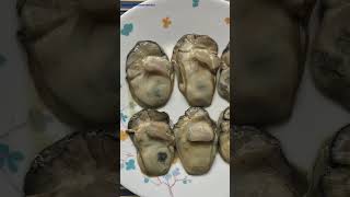 Raw Fresh Oyster tropical oysters oyster
