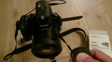 Panasonic Lumix DMC-FZ1000 with Pixel Oppilas Wireless Shutter Remote Control