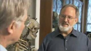 Intelligent Design: Natural Selection And Mental Health