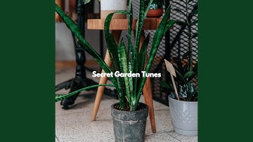 Uplifting Moods for Fine Fusion