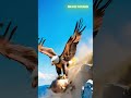 Eagle Seizes Goat and Tries to Fly Away-Goat Struggles to Escape! 🦅🐐