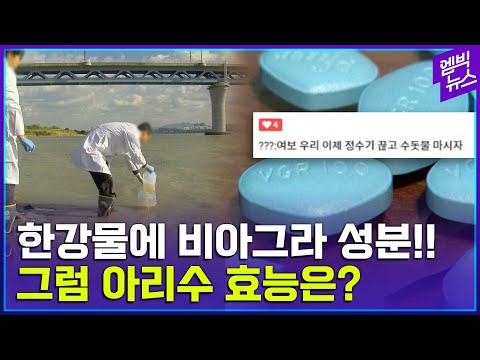 한강서 비아그라 성분 검출..탄천이 중랑천보다 농도 더 높은 이유는?