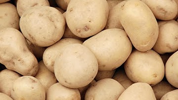 Unpeeled Potato Sorting Raynbow 3Way High Speed | Raytec Vision