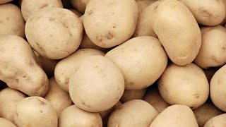 Unpeeled Potato Sorting Raynbow 3Way High Speed | Raytec Vision