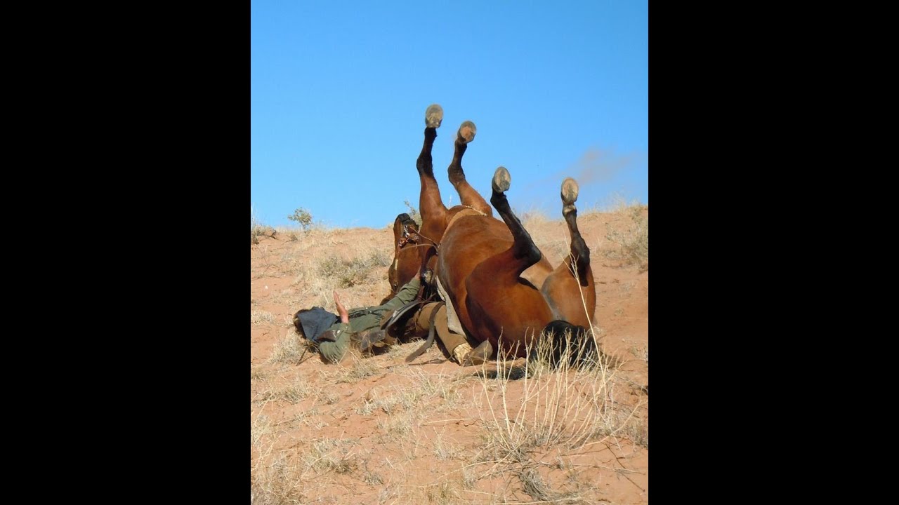  JOE PEPPER Slide Show YouTube