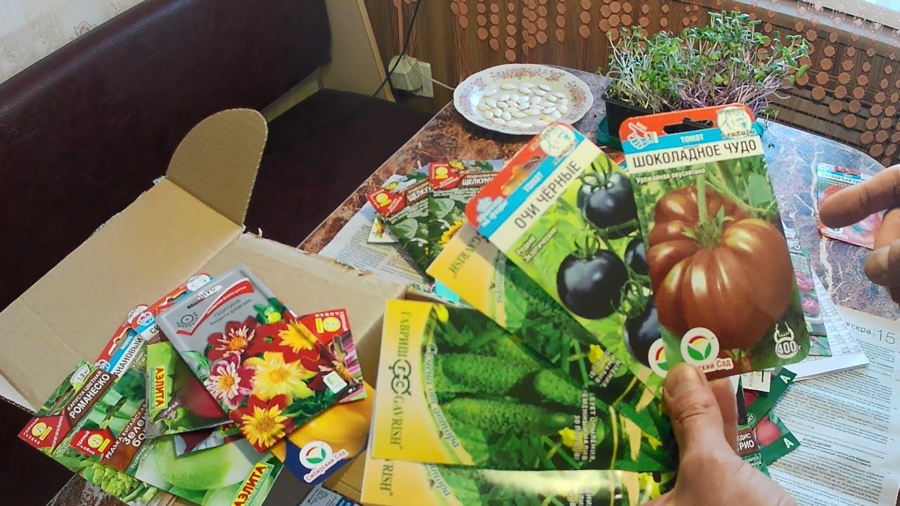 Посылка с семенами от semena.ru мой отзыв, скидка, цены и промокод 15% на 2025г. Где покупать семена