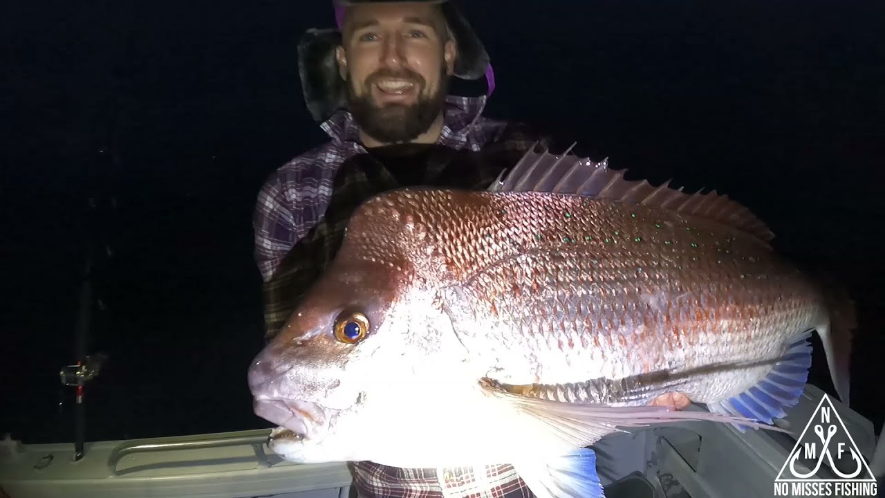 BIG OFFSHORE SNAPPER one after another! - shallow water -moreton island ...