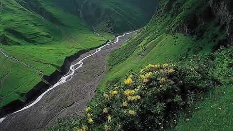 القارئ بلال سليمان عثمان