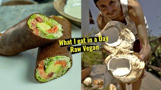 Coconut Veggie Wrap + What I Eat in a Day Raw Vegan amazing food