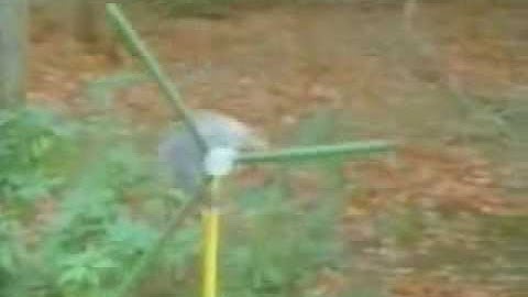 Very Smart Squirrel [from www.metacafe.com].avi