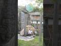 滝の見えるお寺キャンプ #shorts