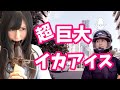 【モトブログ】ハーレー旅第２弾！久々に都会を満喫してきたよー！【バイク女子】