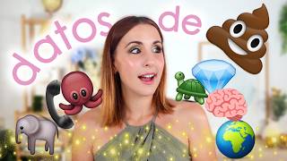 💩☕ Datos de caca 3 lo más absurdo que no necesitabas saber (pero no podrás olvidar)