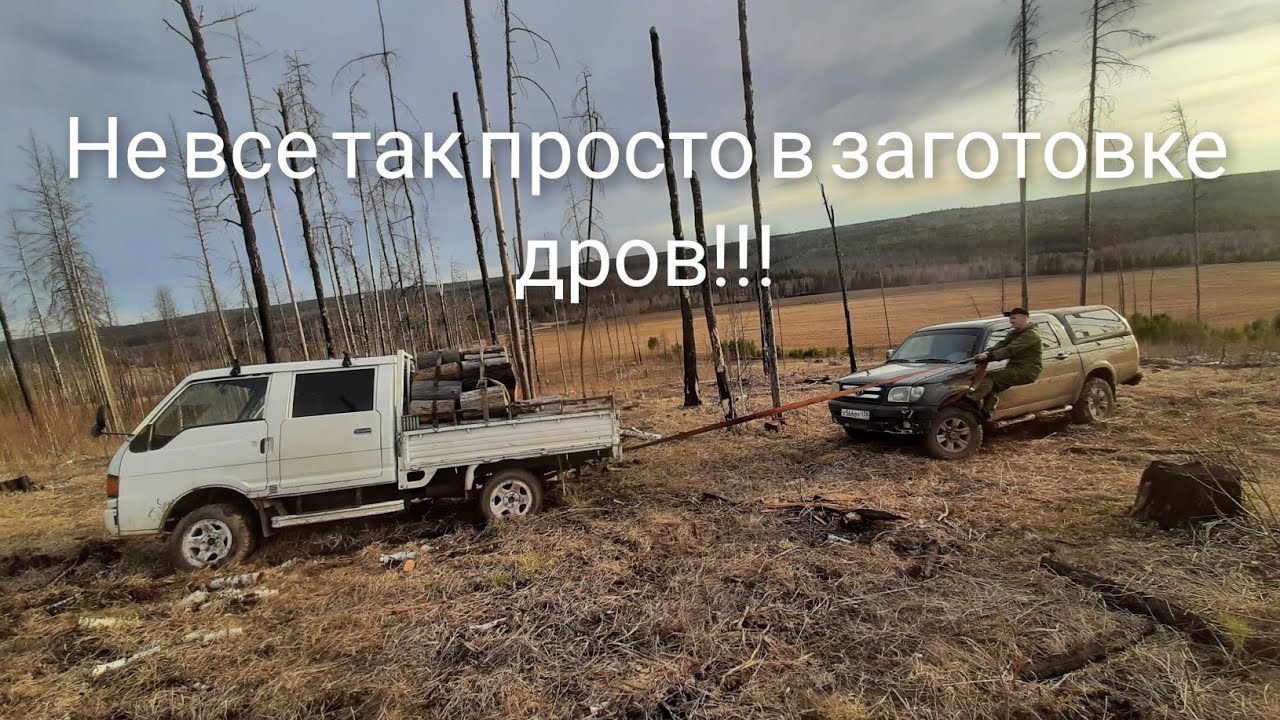 Самая главная проблема в заготовке дров!!!