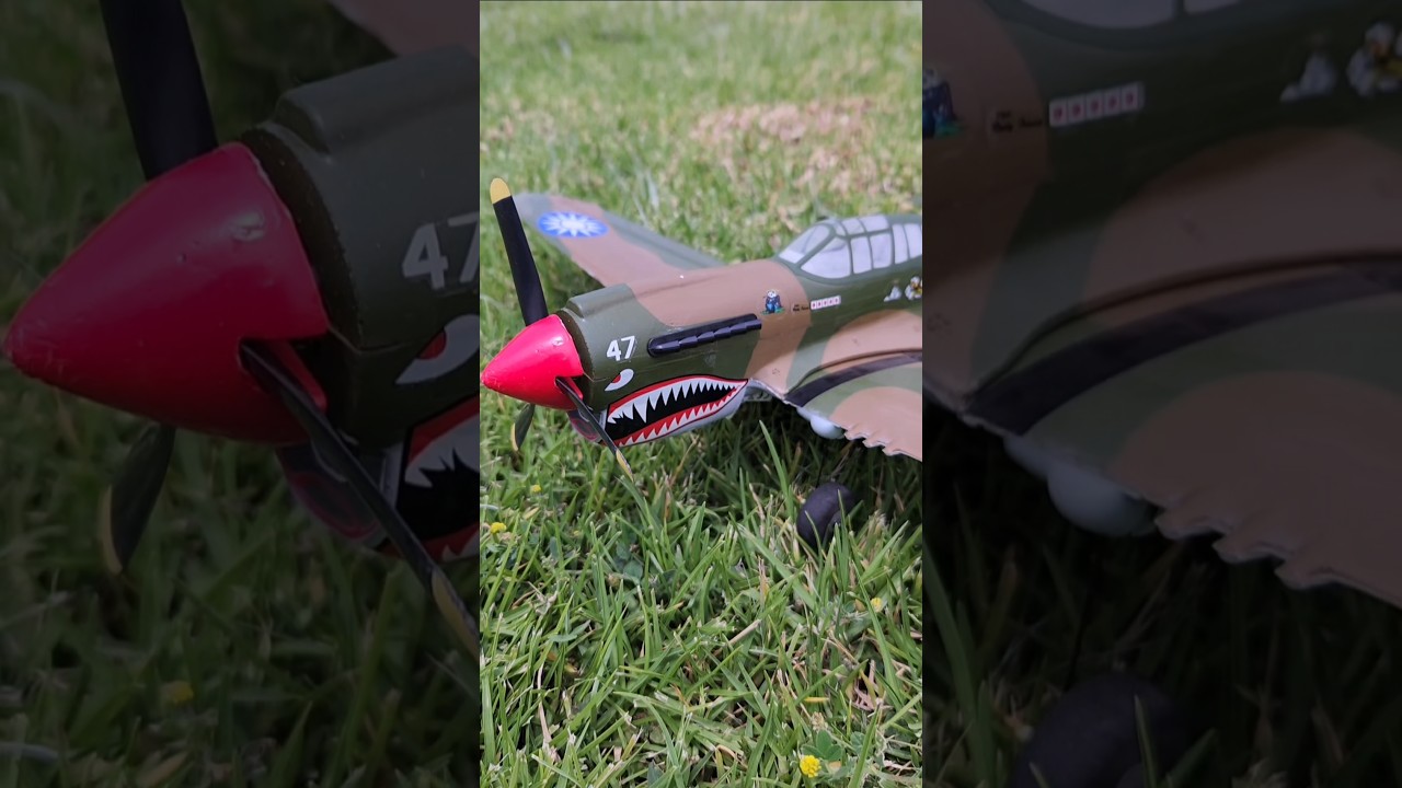 UMX P-40 warhawk micro rc warbird e-flite parkzone
