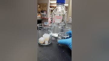 BIO 121 Lab diffusion and cell size   Adding NaOH