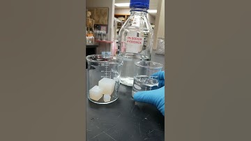 BIO 121 Lab diffusion and cell size   Adding NaOH