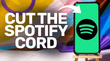 How To Disconnect Spotify From Discord 2025 (iPhone/Android)