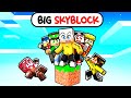 10 YOUTUBER su UNA SOLA SKYBLOCK in Minecraft! - BIG SKYBLOCK Ep.1