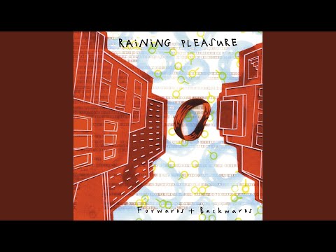 Raining Pleasure — No One's Gonna Love Your Troubles