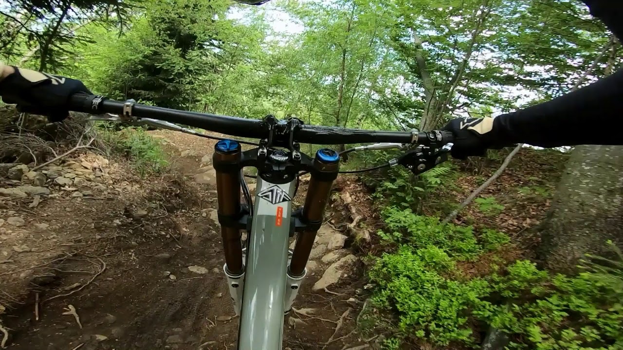 NINA HOFFMANN Geißkopf Downhill Track 2020