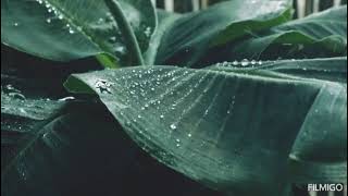 Beni Sevmekten Vazgeçme