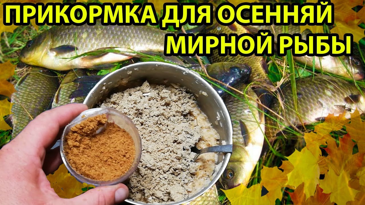 Какая прикормка по холодной воде. Прикормка по холодной воде. Прикорм по холодной воде рыбалка. Прикорм по холодной воде своими руками.