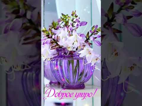 С ДОБРЫМ ХОРОШИМ УТРОМ🌷ХОРОШЕГО ДНЯ #short #shorts #shortvideo #shortsvideo #открыткисдобрымутром