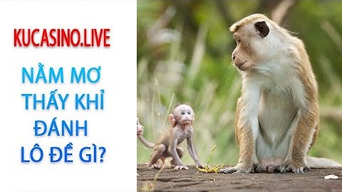 Mơ thấy khỉ là điềm gì