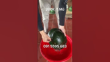 Mũ cối cốt phip tổng hợp bao va đập #mucoi #mucoitau #mucoicotphip #mucoiphip #tongkhonamviet