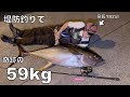 釣り人生最高の奇跡！堤防ルアー釣りで59kgの巨大マグロを釣り上げた！！