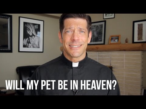 Will My Pet Be in Heaven?