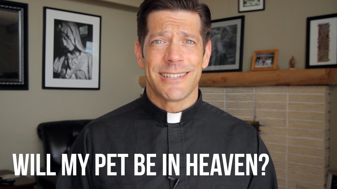 Fr. Mike Schmitz: Will My Pet Be in Heaven?