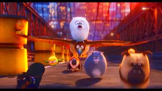 Pets - Gidget Is Coming Sponsored By Preview 2 Mokou Deepfake Effects