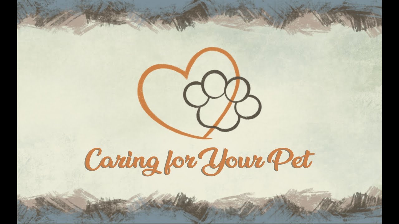 How Herbs Can Help Your Cats to Heal