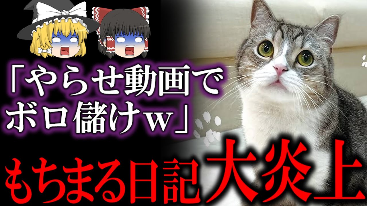 もちまる日記がヤラセと虐●疑惑で現在大炎上中…飼い主がやばすぎる【ゆっくり解説】