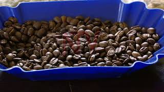 Ugandan scientists develop cosmetics, pharmaceuticals from coffee