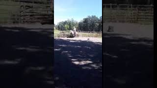 Rodeo Pony Video 2