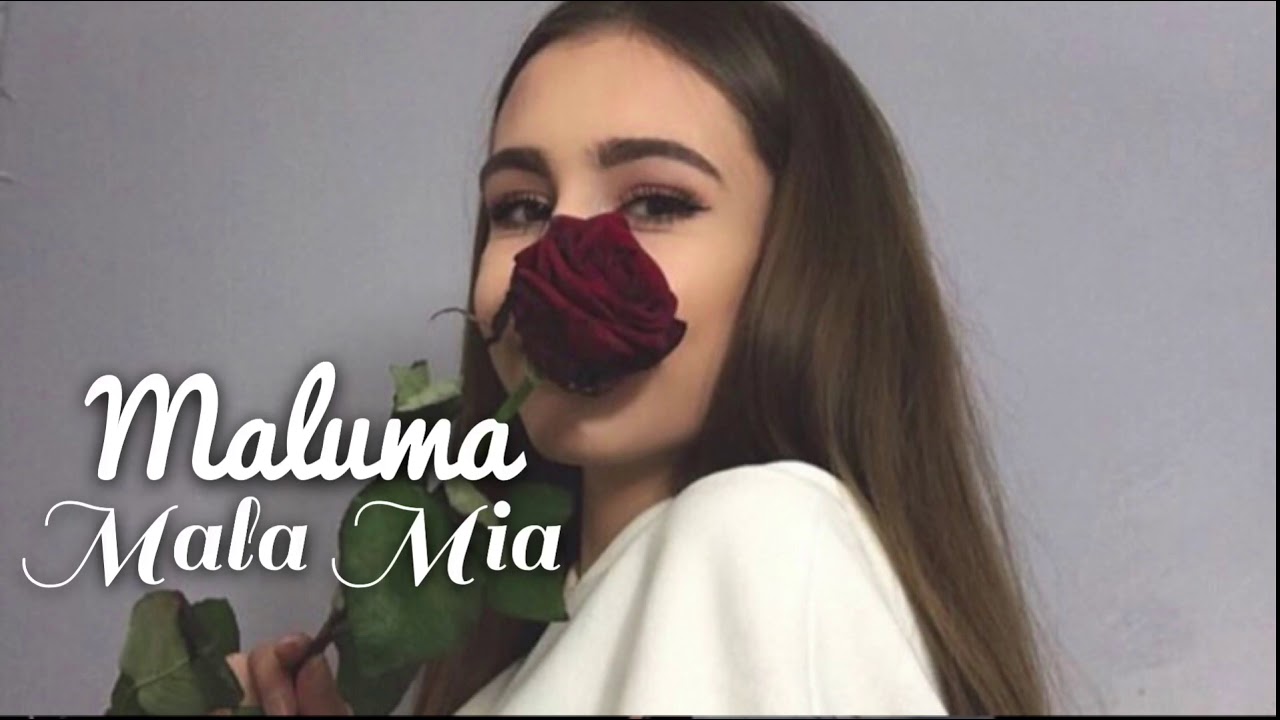 Best Spanish Translation Ever Maluma Mala Mia Video English